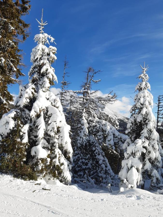 Apartmany Fortuna Vysoké Tatry 外观 照片